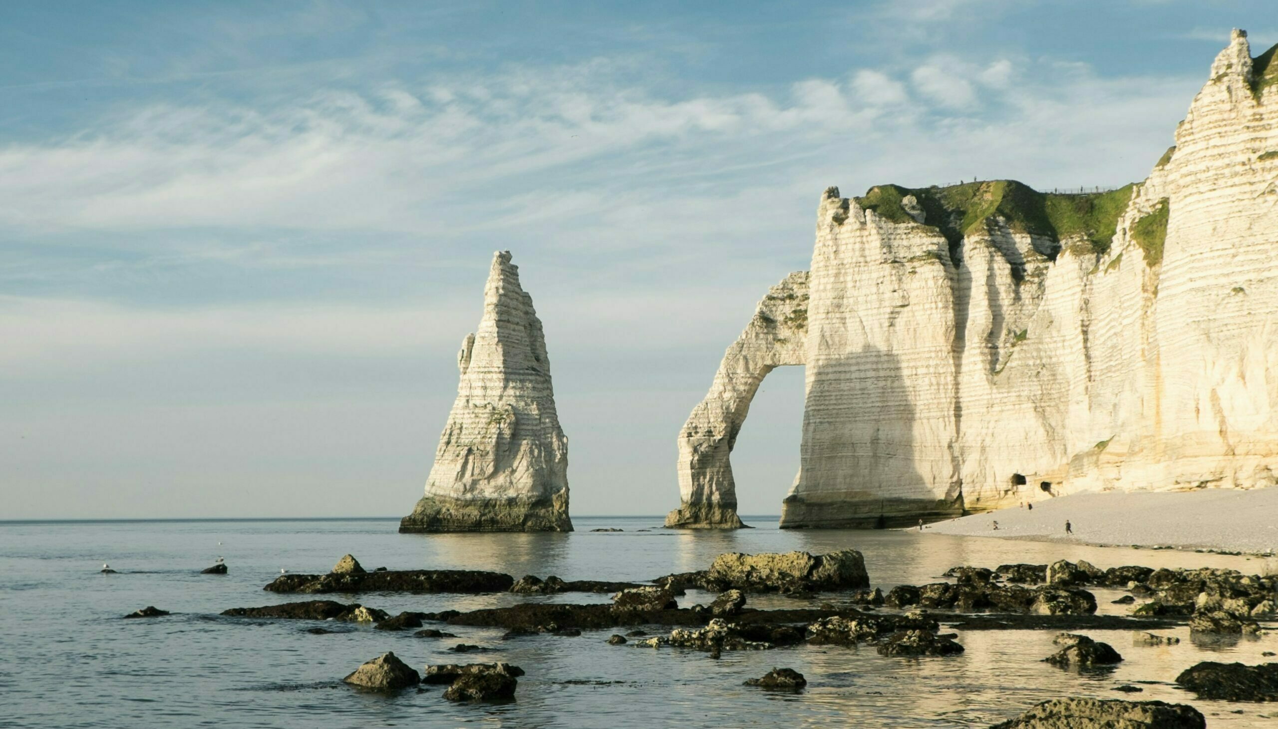 image dynamique