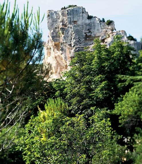 French Flair Provence and the French Riviera Baumaniere Alpilles