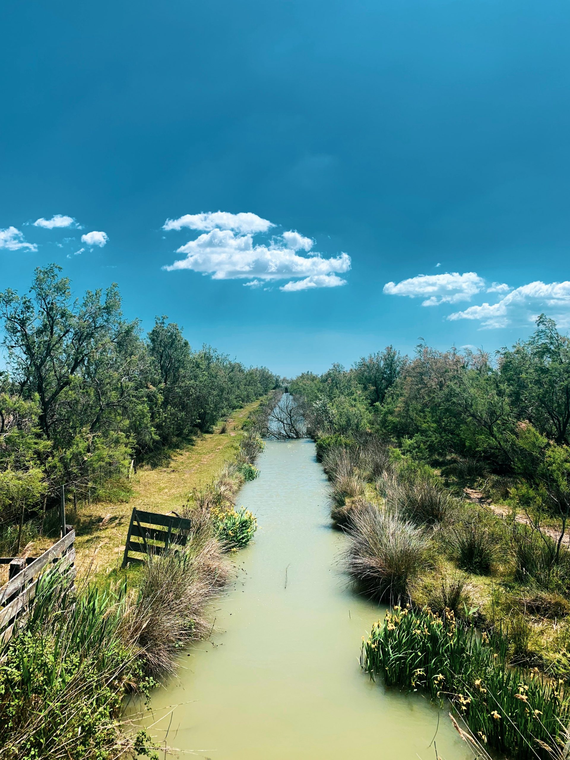 French Flair camargue salt marshes